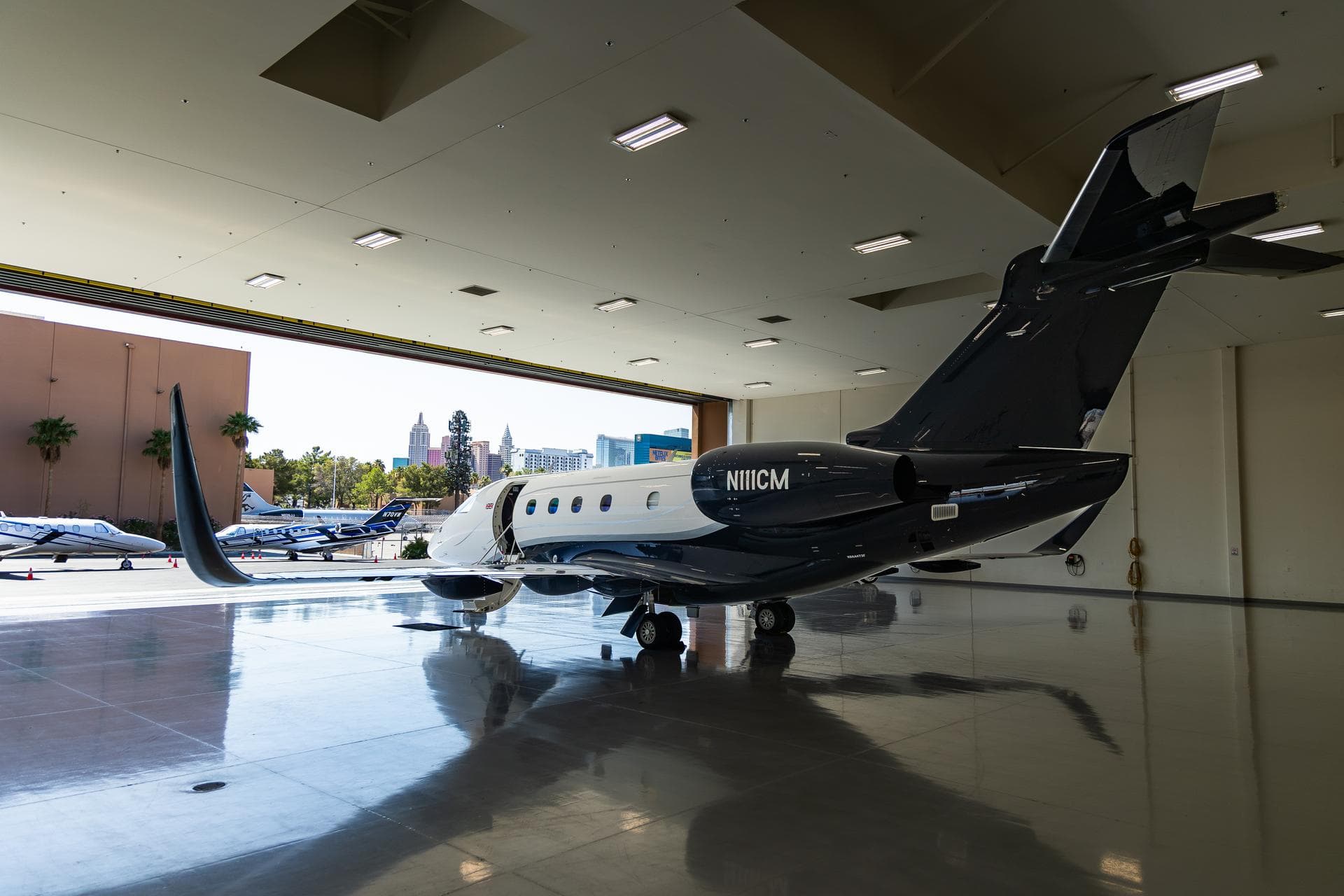 THRIVE AVIATIONS — 2